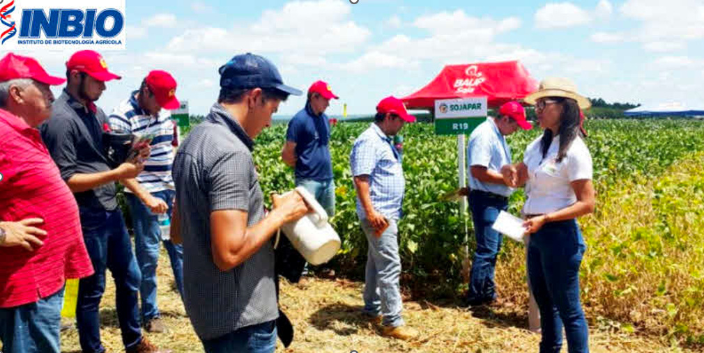 ¡Reduzca costos hasta $80 por hectárea con nuestro software en el cultivo de soja en Paraguay!